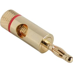 INT-01944W - Gangeinhausung...