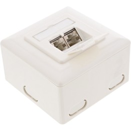 InLine? Cat.6 Anschlussdose, AP/UP 2x RJ45 Buchse, RAL9010, wei?, waagerecht