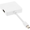 17195I - Câble adaptateur InLine® Mini DisplayPort vers HDMI/DVI/DisplayPort, blanc