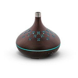 40154 - InLine® Diffuseur à ultrasons, Lumière d'ambiance, compatible Google Home  Amazon Alexa.