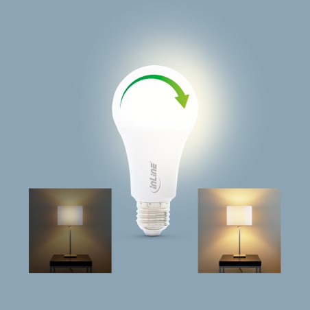 InLine? SmartHome LED Lampe RGB E27, 900LM