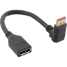 17159O - InLine® Câble adaptateur DisplayPort 1.4 ST/BU, 8K4K, à angle droit
