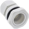 InLine? Kabeldurchf?hrung PG 29 Nylon IP68 18-25mm, grau, 10 St?ck InLine? Kabeldurchf?hrung PG 29 Nylon IP68 18-25mm, grau, 10 St?ck