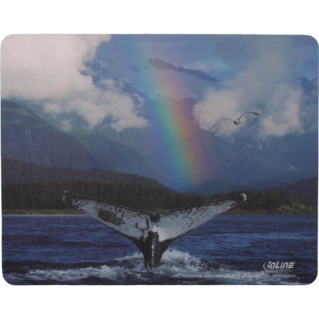 InLine® Maus-Pad Recycled Foto, Whale, 240x190x3mm