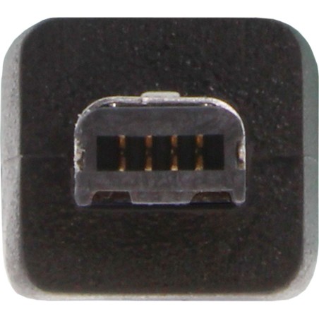 Câble USB 2.0 Mini, InLine®, prise A à Mini USB prise, noir, 2m
